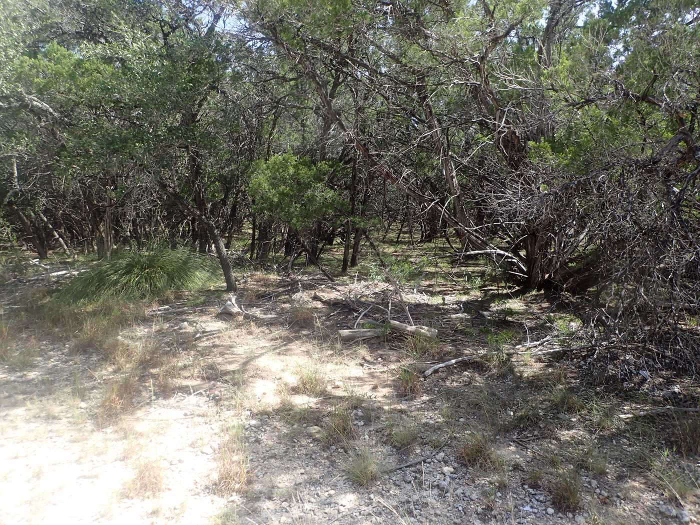 Spur Lane 